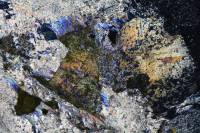 Métagabbro à glaucophane LPA x3,5